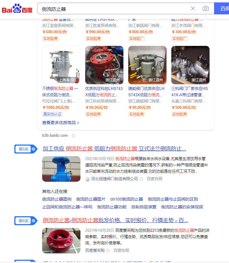 专业阀门行业网站推广:“倒流防止器”网站优化案例