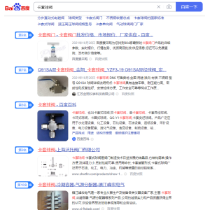 阀门优化公司：“卡套球阀”网站推广案例分